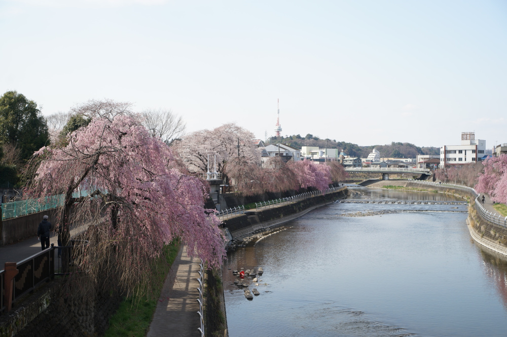 2022年4月2日（土）