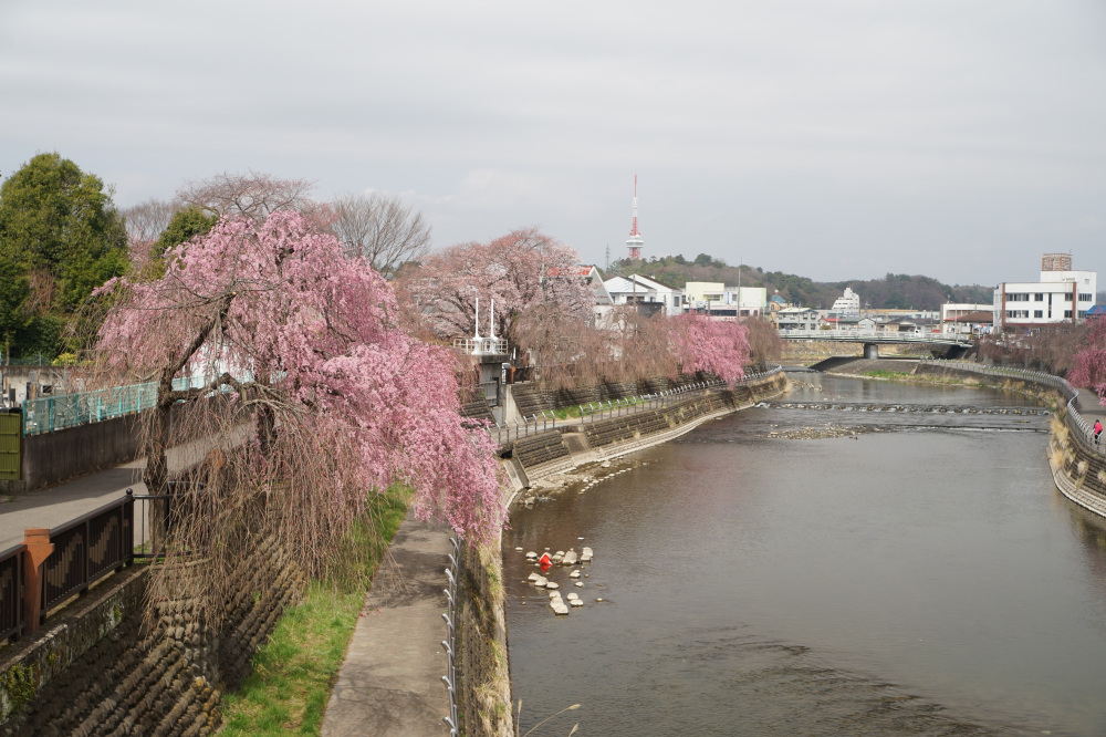 2022年3月30日（水）