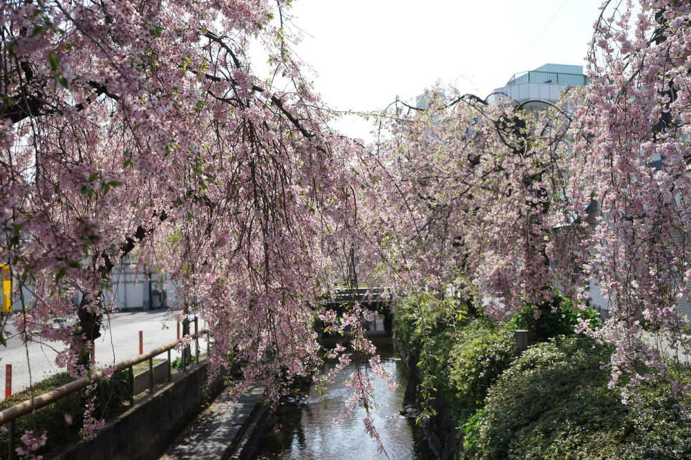 2022年4月12日（火）