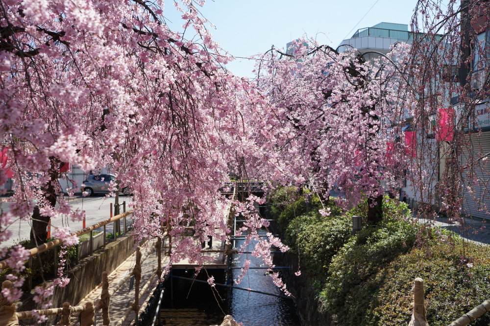 2022年4月2日（土）