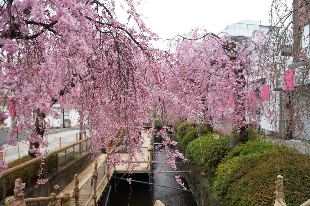 2022年3月30日（水）