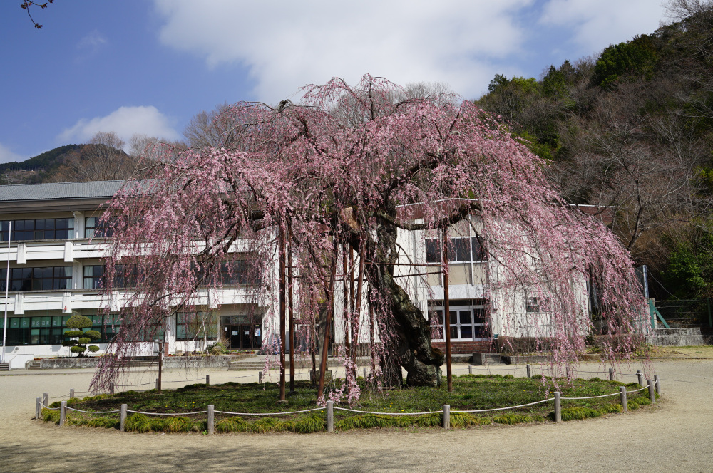 2022年3月30日（水）