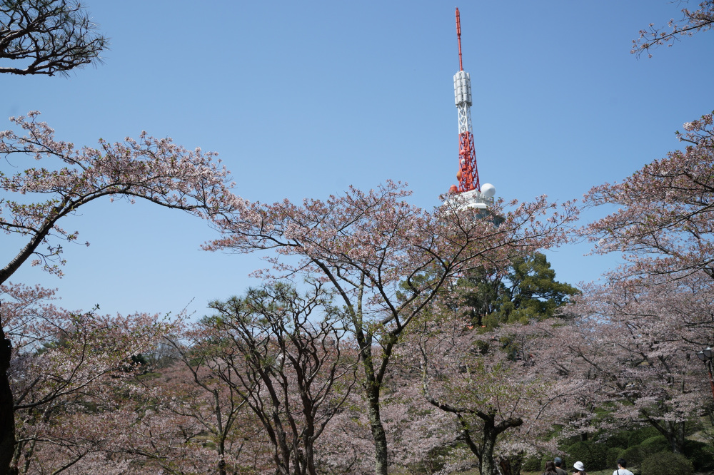 2022年4月10日（日）