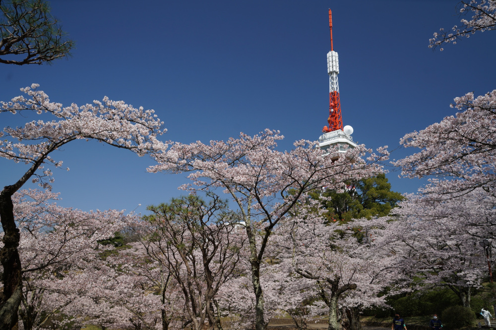 2022年4月8日（金）