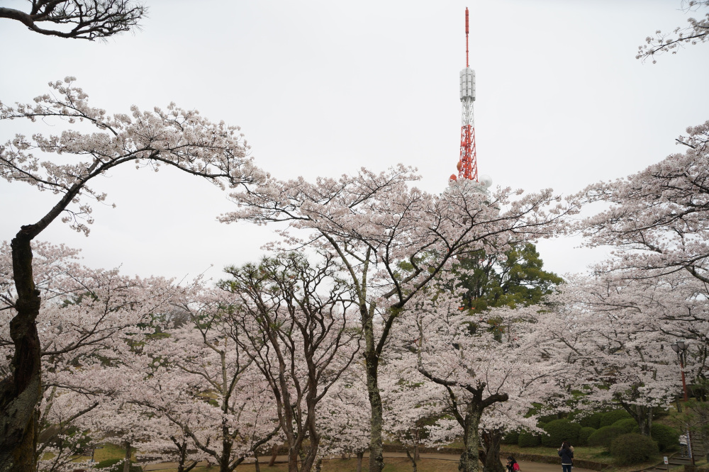 2022年4月6日（水）