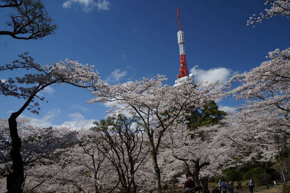 2022年4月5日（火）