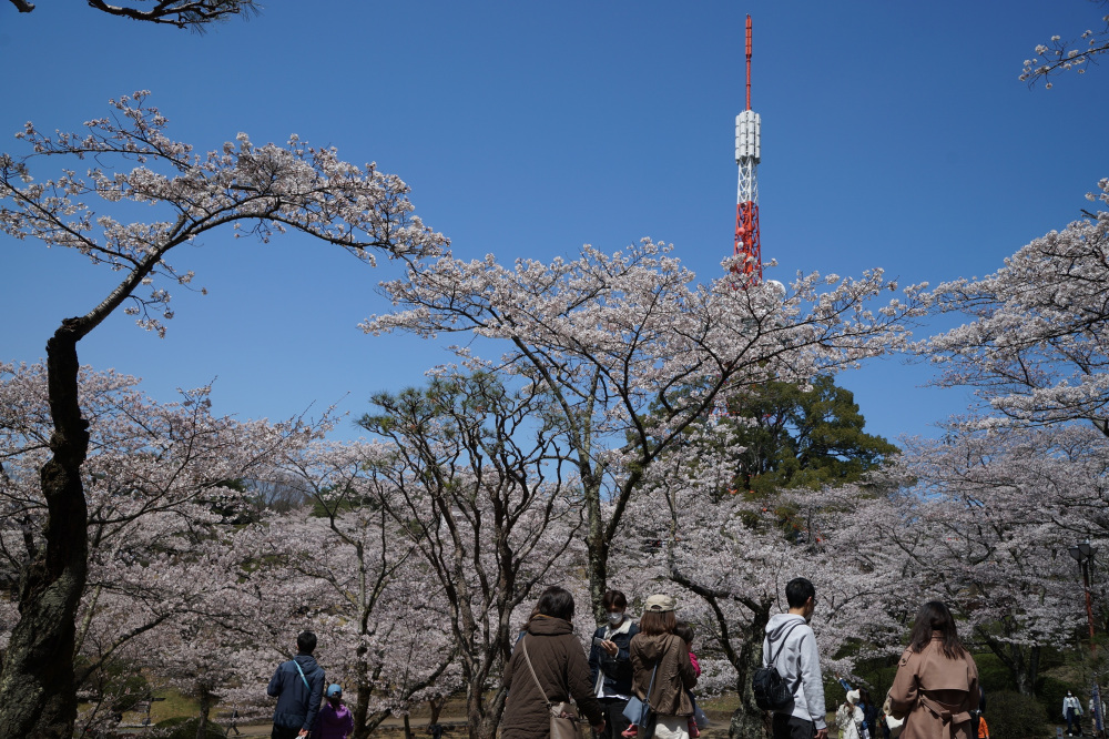 2022年4月2日（土）