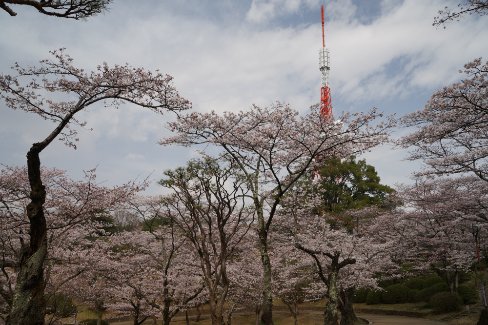 2022年3月31日（木）