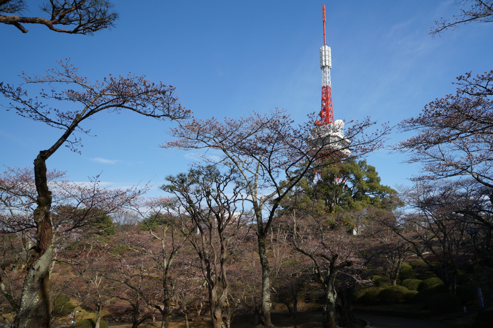 2022年3月28日（月）