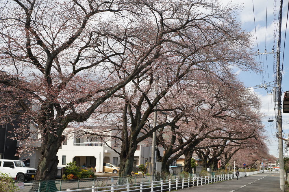2022年3月27日（日）