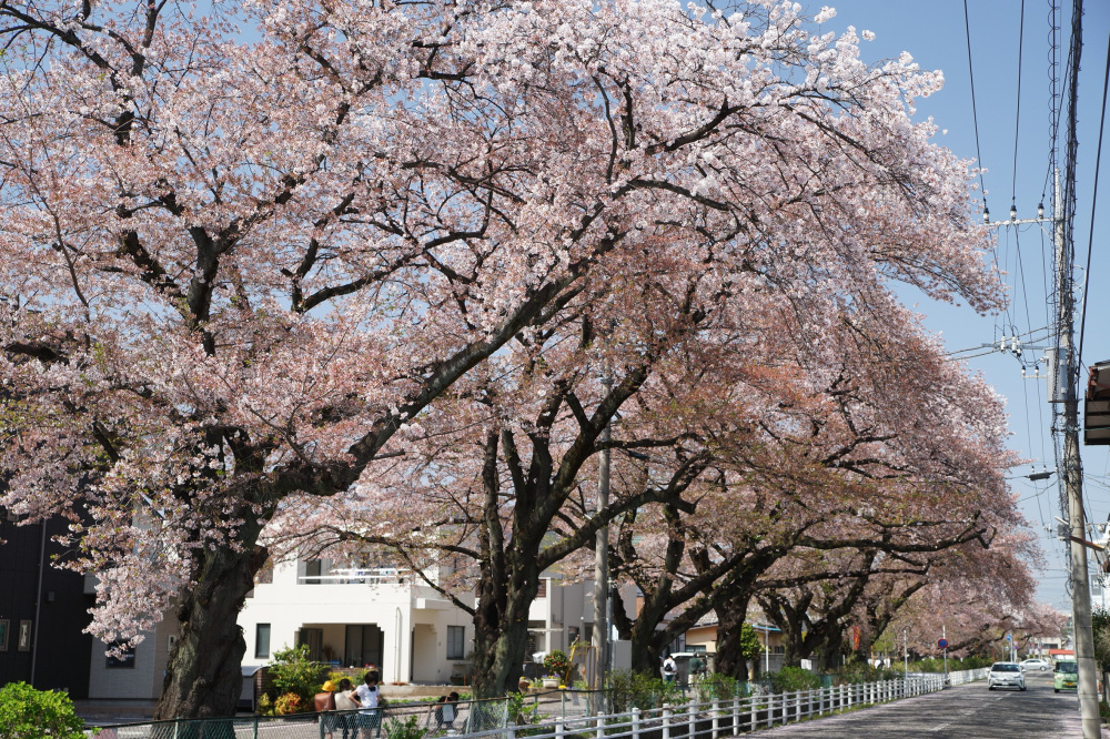 2022年4月10日（日）