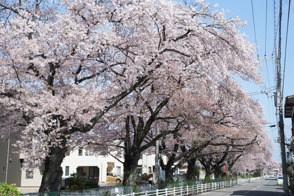 2022年4月9日（土）