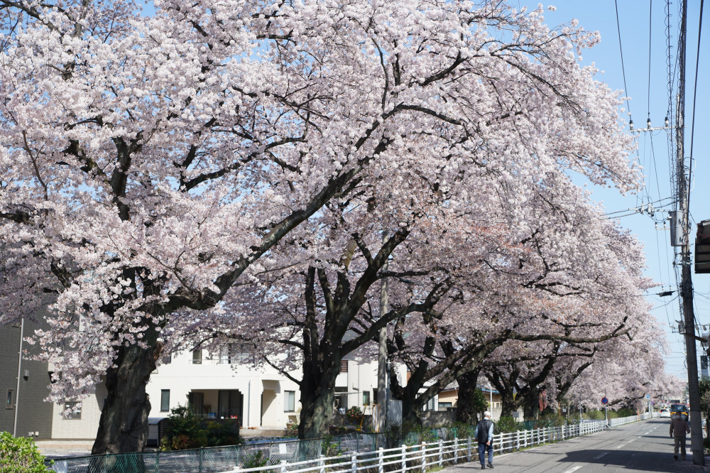2022年4月8日（金）