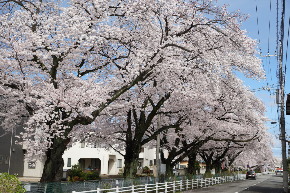 2022年4月5日（火）