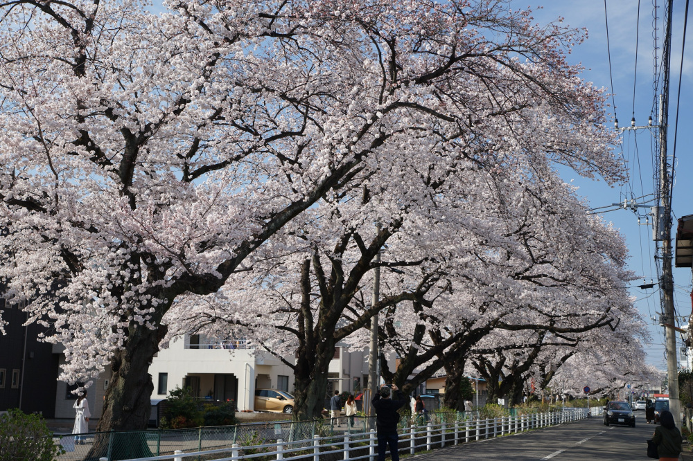 2022年4月2日（土）
