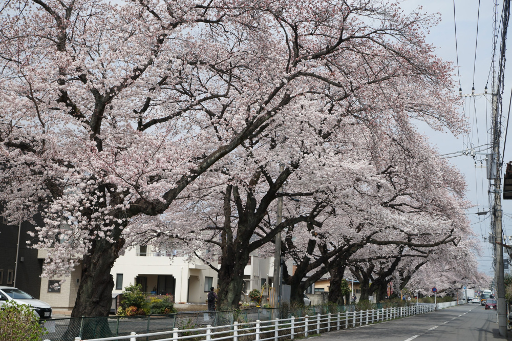 2022年3月31日（木）