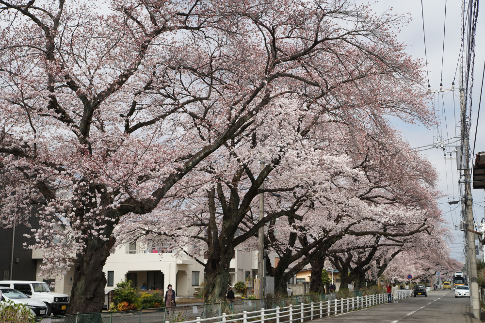 2022年3月30日（水）