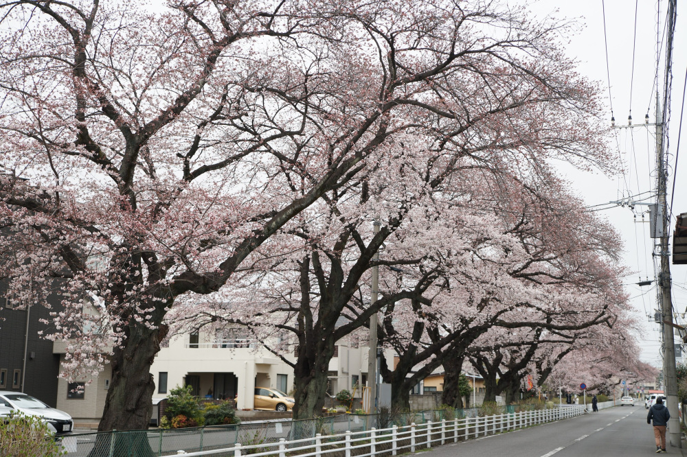 2022年3月29日（火）