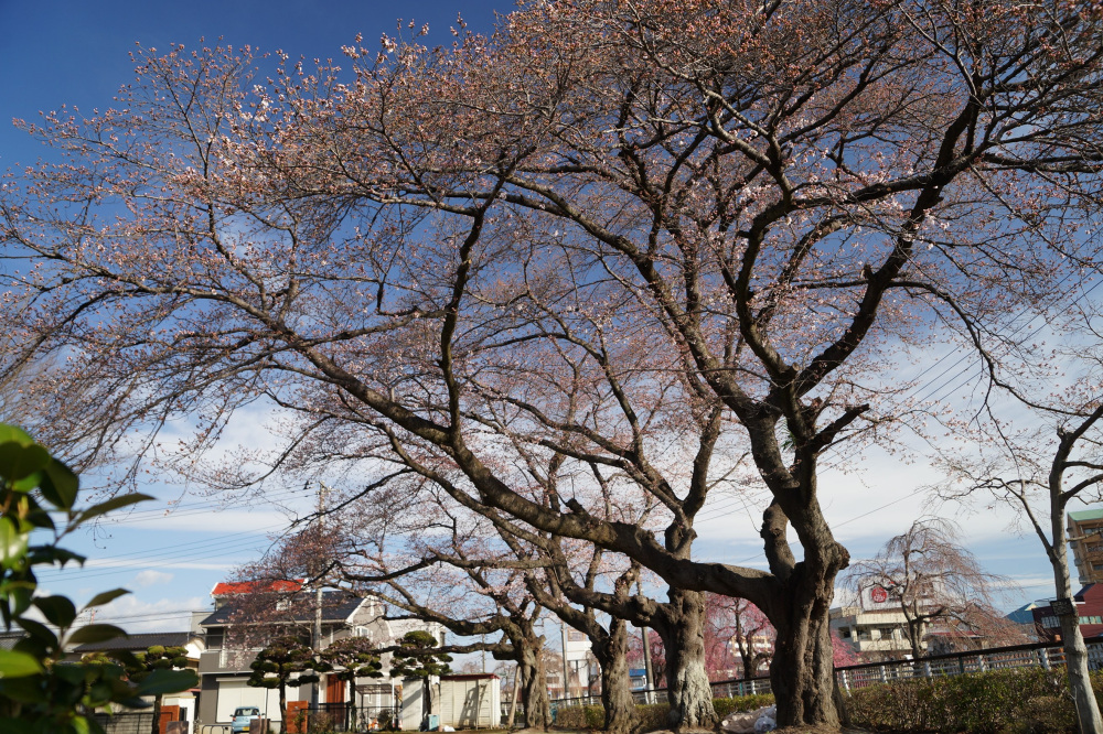 2022年3月28日（月）