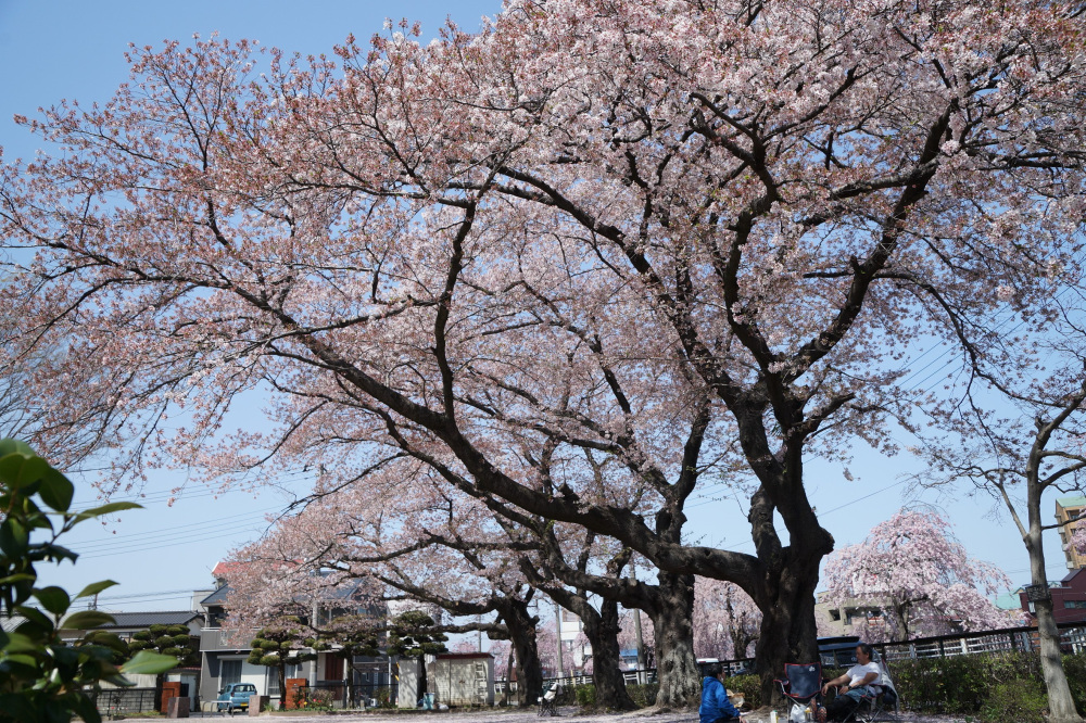2022年4月10日（日）