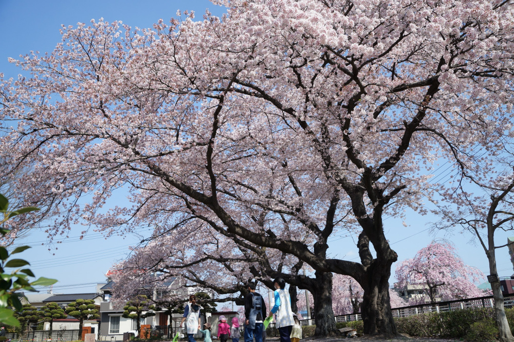 2022年4月9日（土）