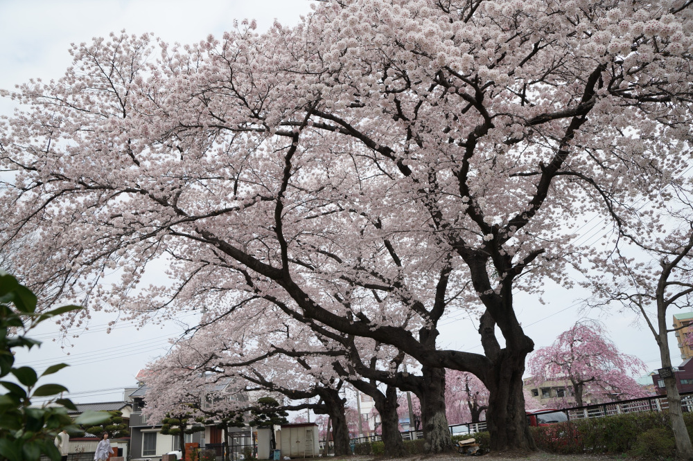 2022年4月7日（木）