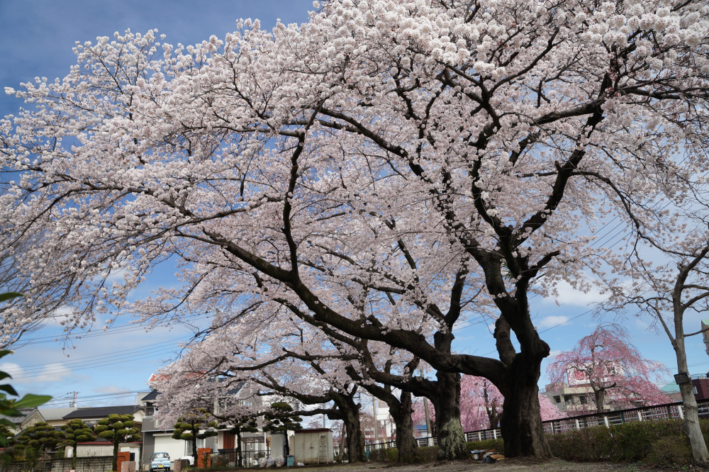 2022年4月5日（火）