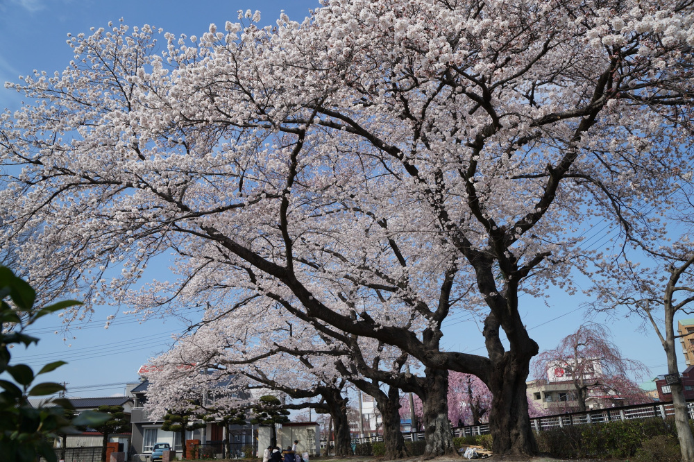2022年4月2日（土）