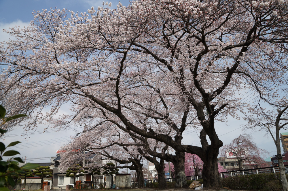 2022年3月31日（木）