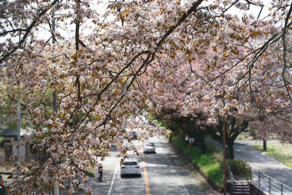 2022年4月13日（水）