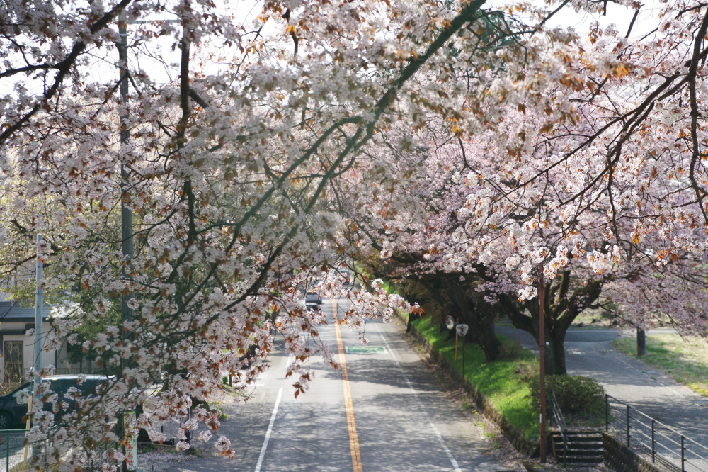 2022年4月12日（火）
