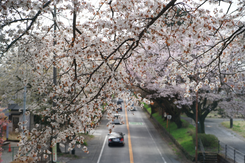 2022年4月11日（月）