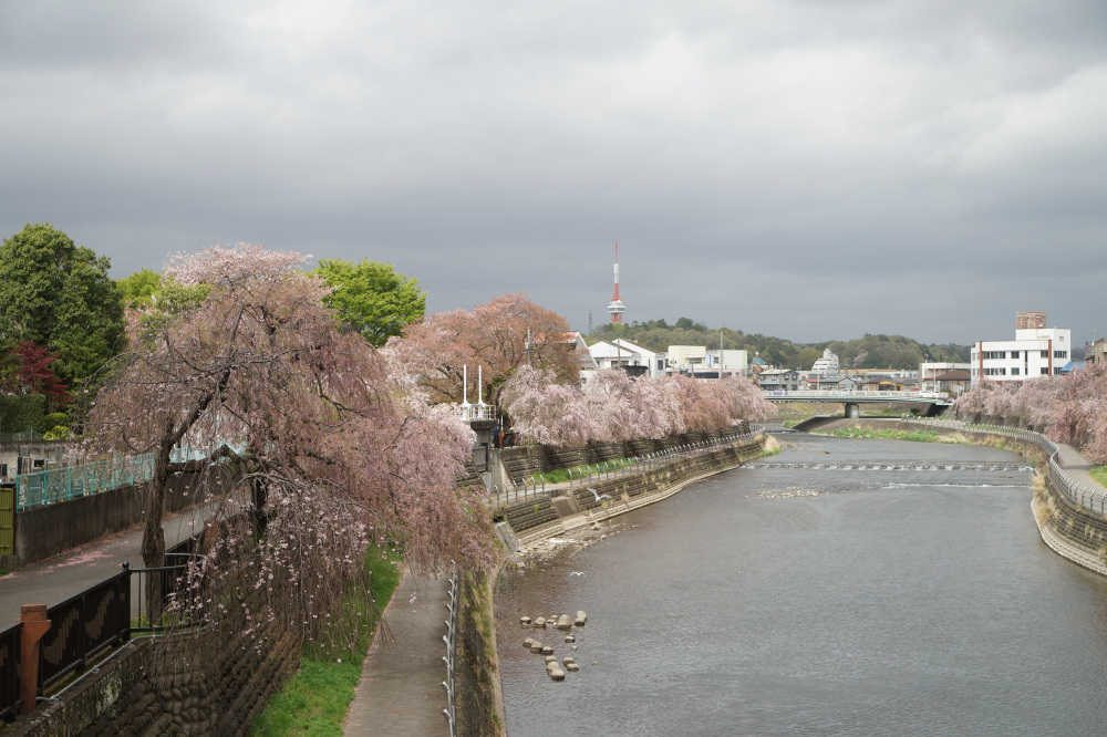 2023年4月7日（金）