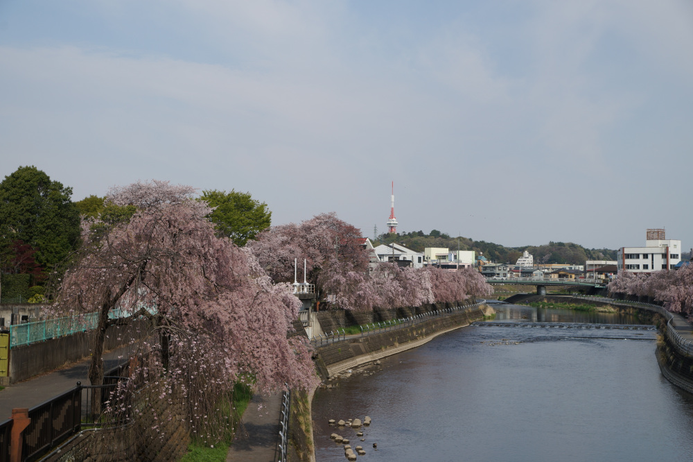 2023年4月5日（水）