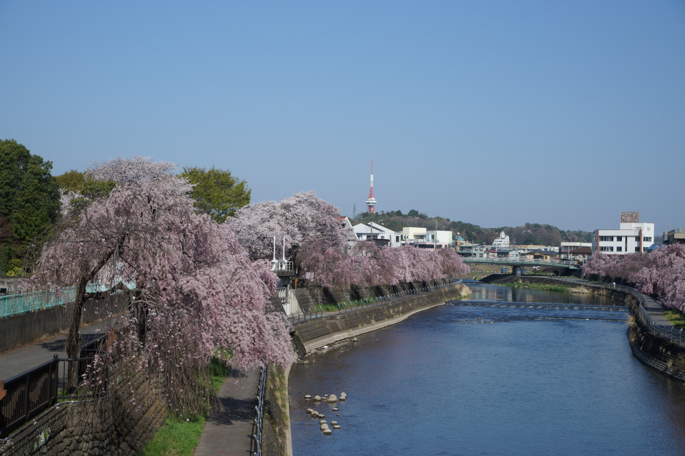 2023年4月1日（土）
