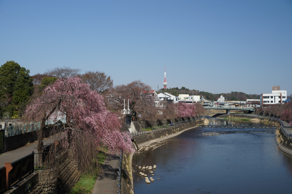2023年3月22日（水）