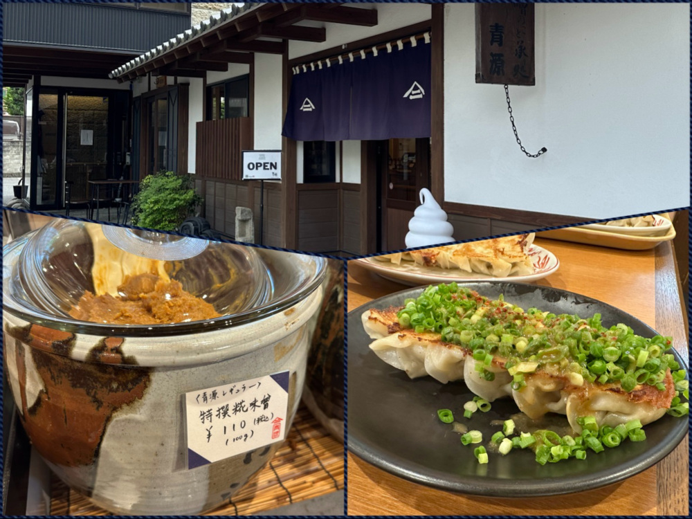 宇都宮の味噌〝青源〟の魅力!餃子やラーメン、発酵ランチ情報