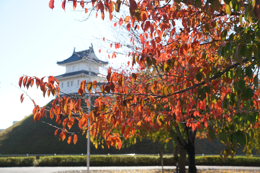 近くの観光スポット　宇都宮城址公園