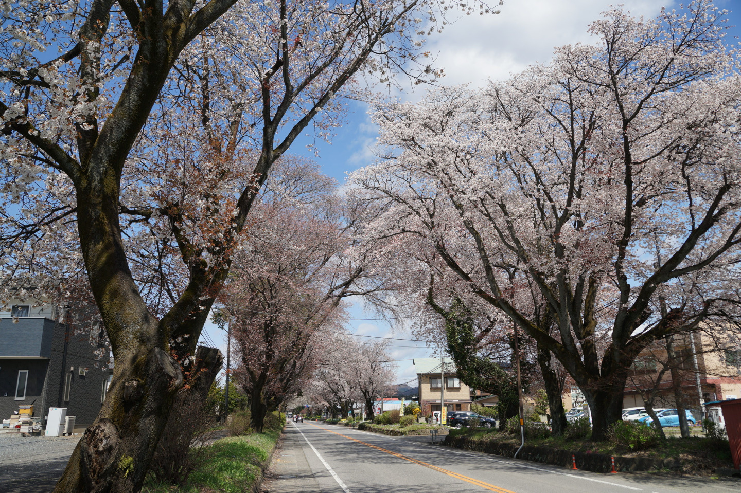 宇都宮市内の日光街道をウォーキング！　宇都宮宿～徳次郎宿日帰りコース