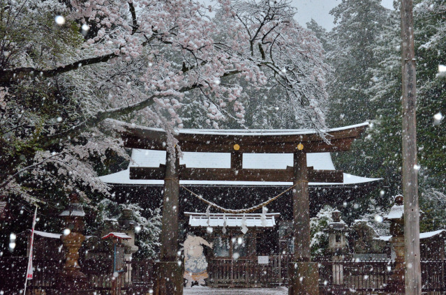 「春雪の蒲生神社」