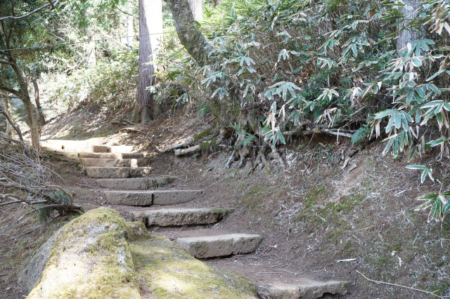 ③登山道入口