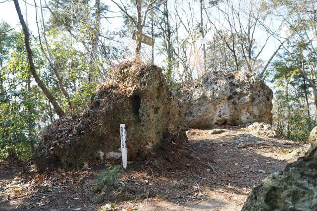 ④戸室山山頂