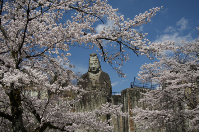 「桜と平和観音」