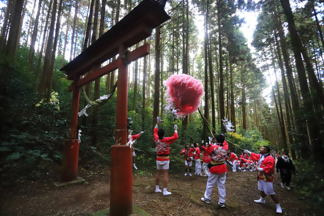 「木々の間にあがる」