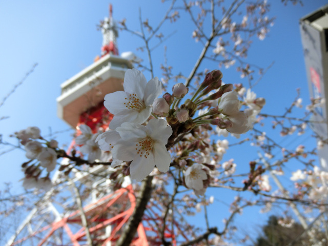 「街の自慢」