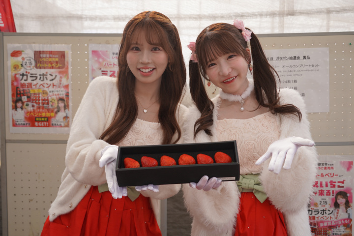 宇都宮の朝摘みいちごをその日のうちに!市内のいちご直売所7選♪