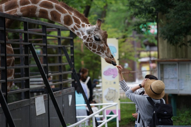 宇都宮動物園