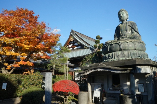 大豆三粒の金仏（善願寺）