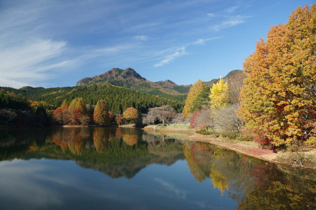 宇都宮市森林公園