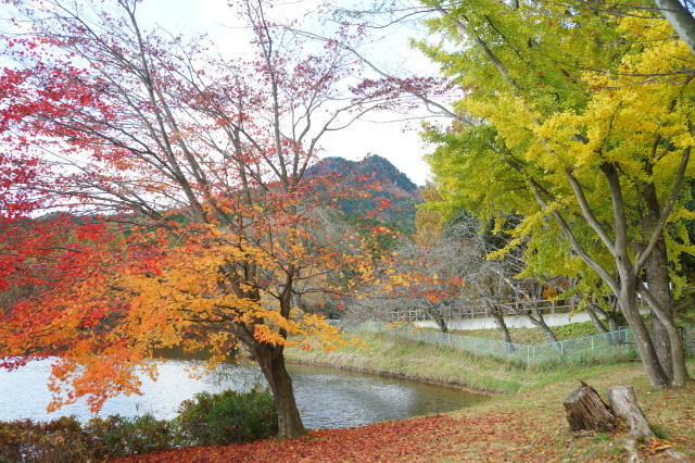 宇都宮市森林公園